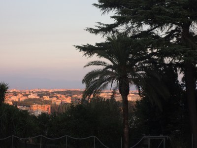 Conseil de Congrégation à Rome1