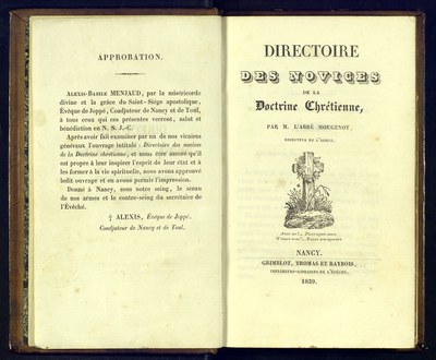 Novatos ejecutivos novatos ejecutivos