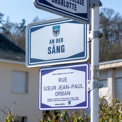 275116844 717109932999834 2001398178853128618 n