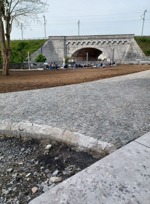 Le jardin 