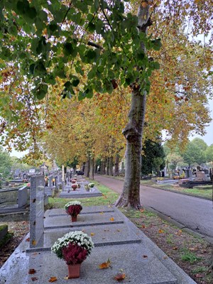 Cimetiere sud (3)