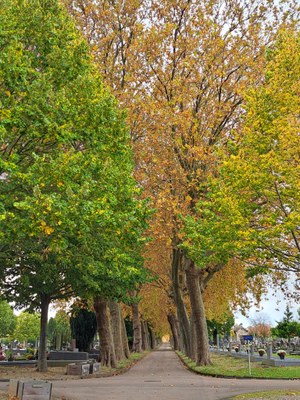 Cimetiere sud
