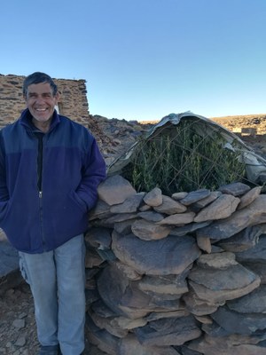 Ventura et son olivier 4