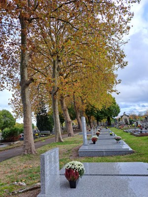 Cimetiere sud (2)