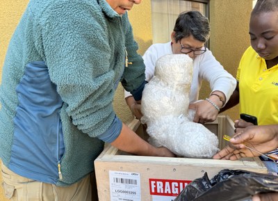 Beauraing Chili  (4)